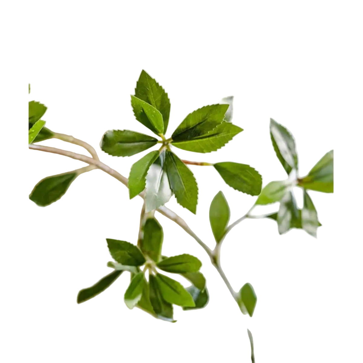 Faux Pieris Branch Stem 41"