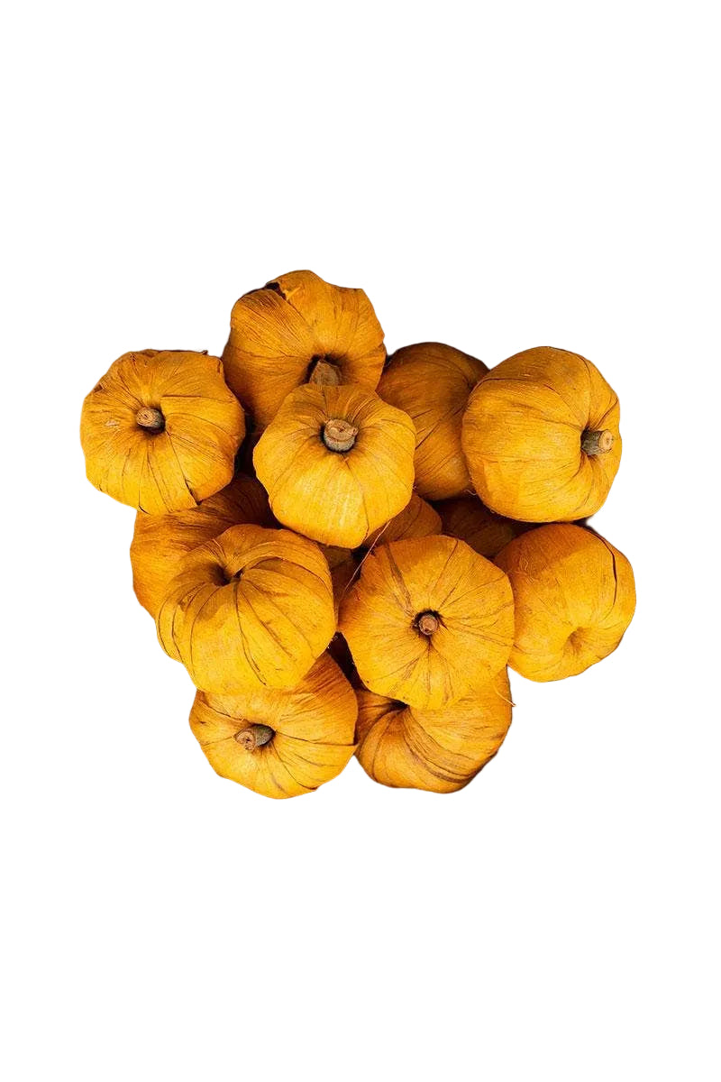 Bag of 15 Dried Pumpkins Orange