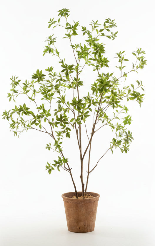 Artificial Japanese Enkianthus Tree 8 ft