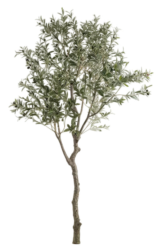 Handmade Olive Tree 8 ft.