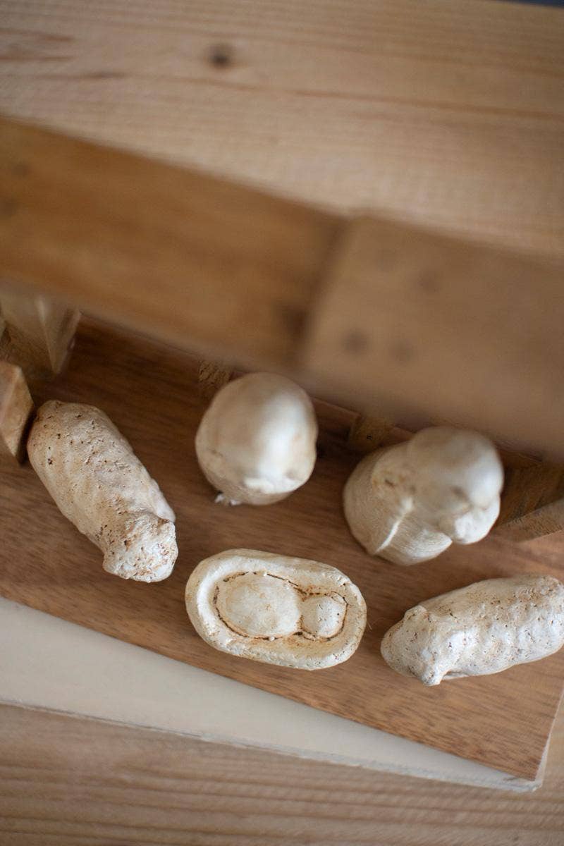 Wooden Nativity Drfitwood