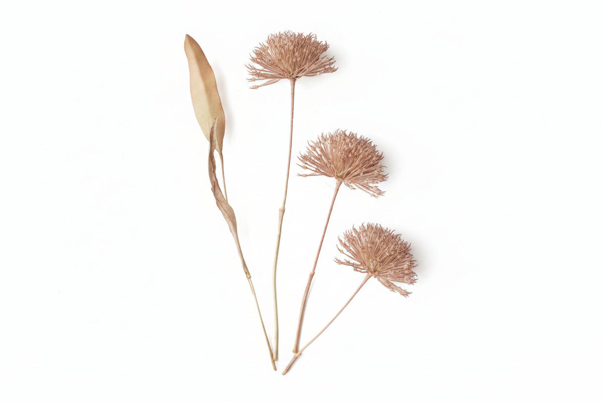 20.5" ROSEWOOD WILD LEEK SPRAY