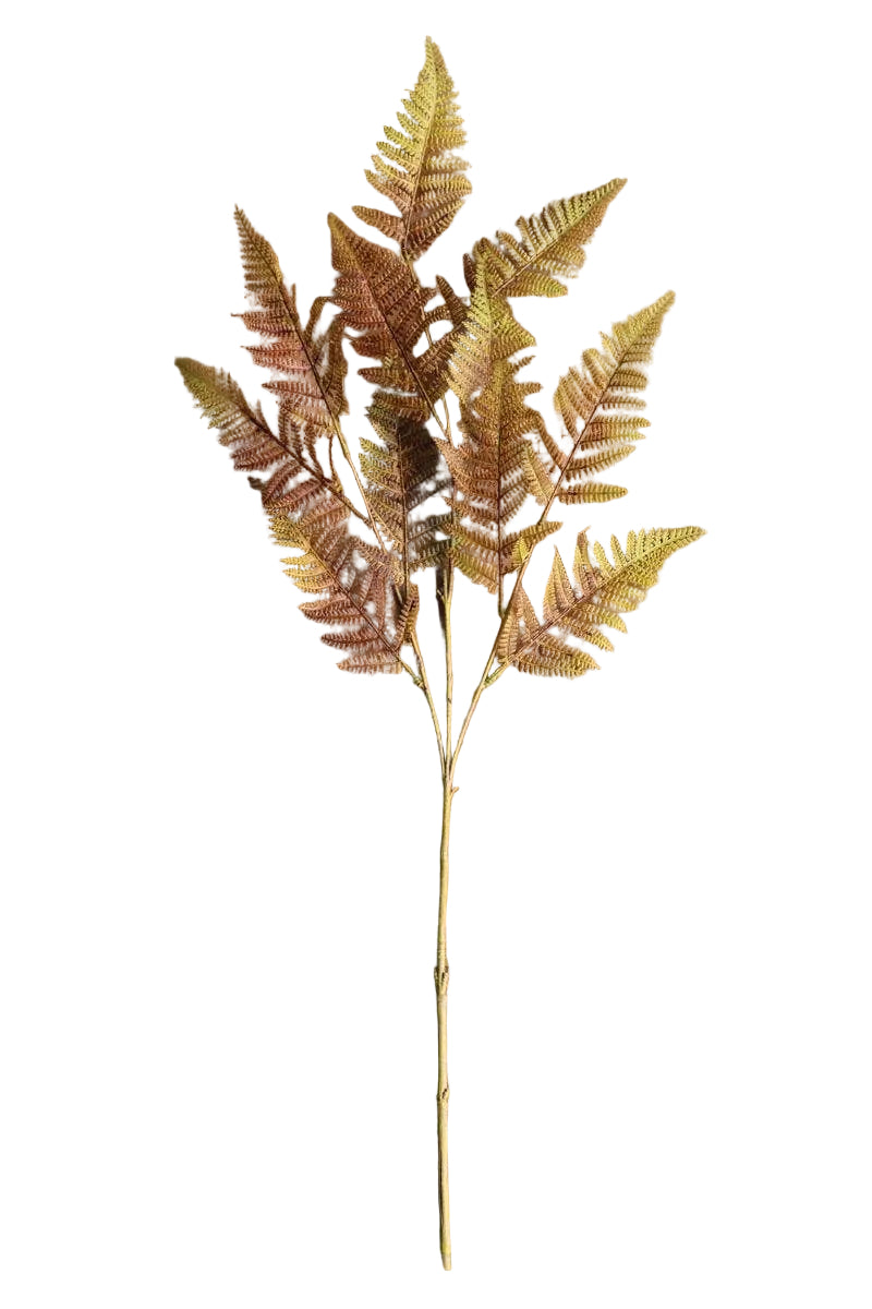 Autumn Fern Stem 40"