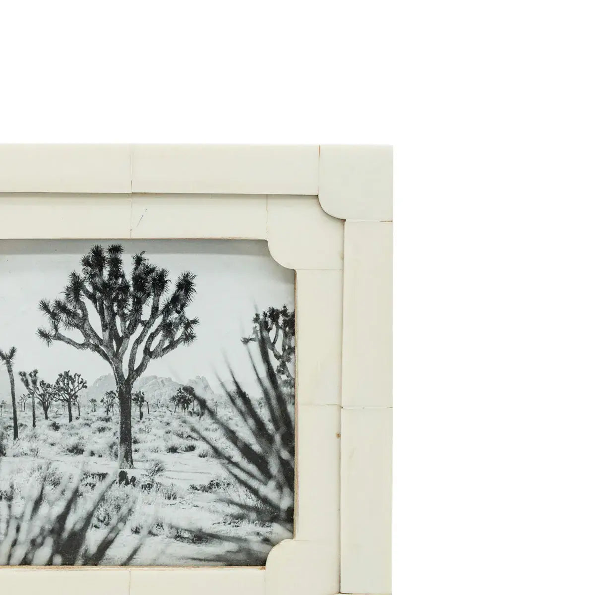 Neoclassical Resin Photo Frame 4x4