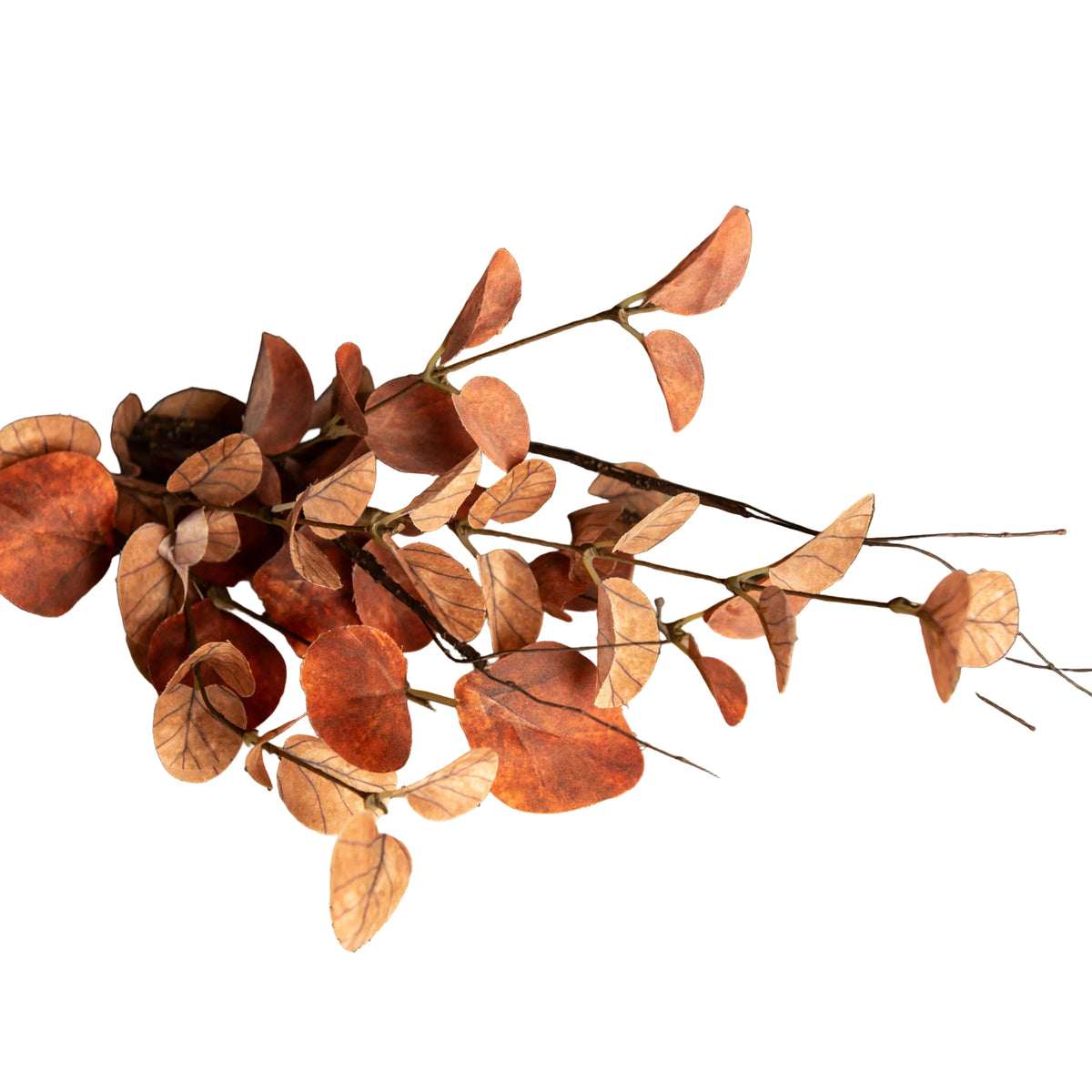 19.5" ORANGE EUCALYPTUS & TWIG PICK