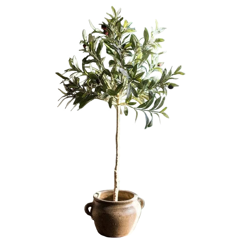 Handmade Olive Tree 3 ft.