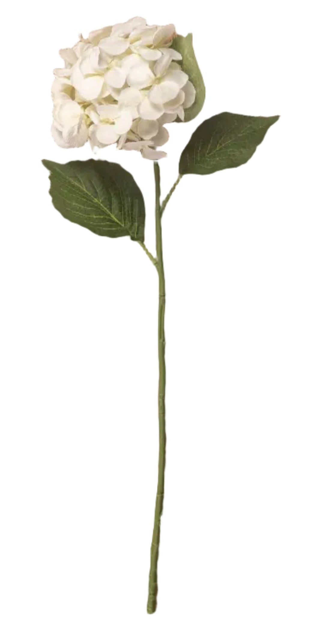 White Hydrangea Spray 24"