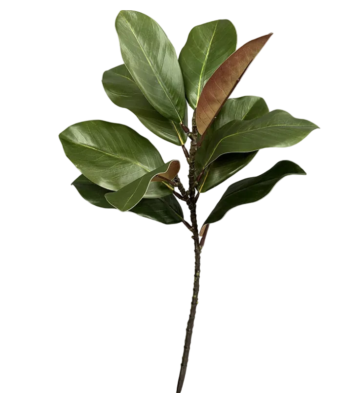 Nature Touch Faux Magnolia Leaf Branch Indoor/Ourdoor