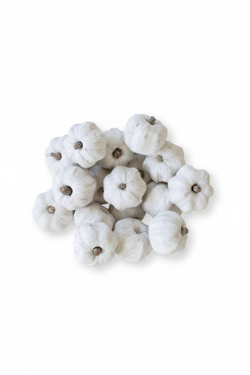 Bag of 15 Dried Mini Pumpkins White