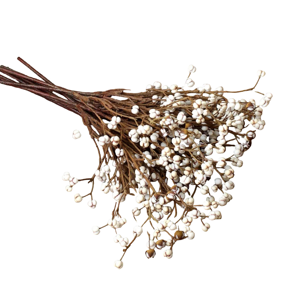 Tallow Berry Stem