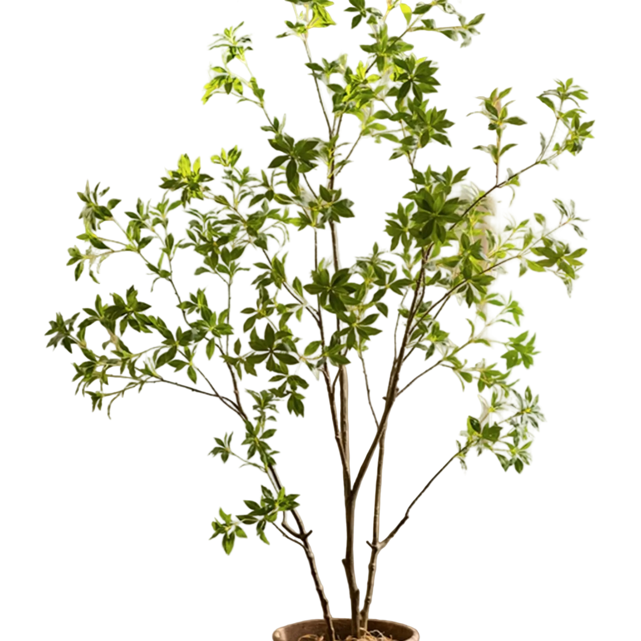 Artificial Japanese Enkianthus Tree 8 ft