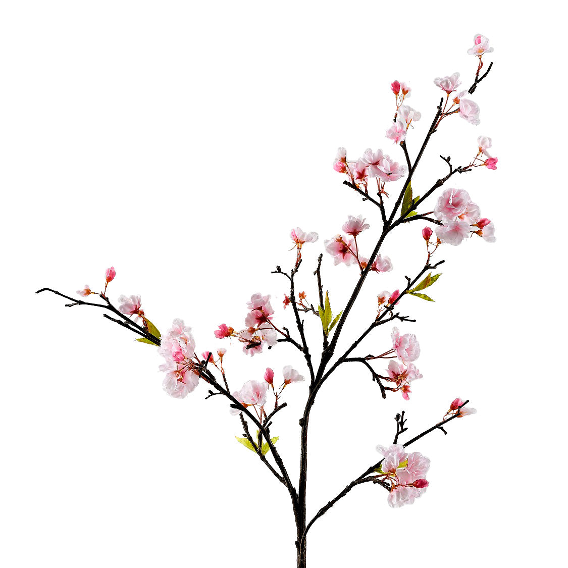 Pink Cherry Blossom 48"