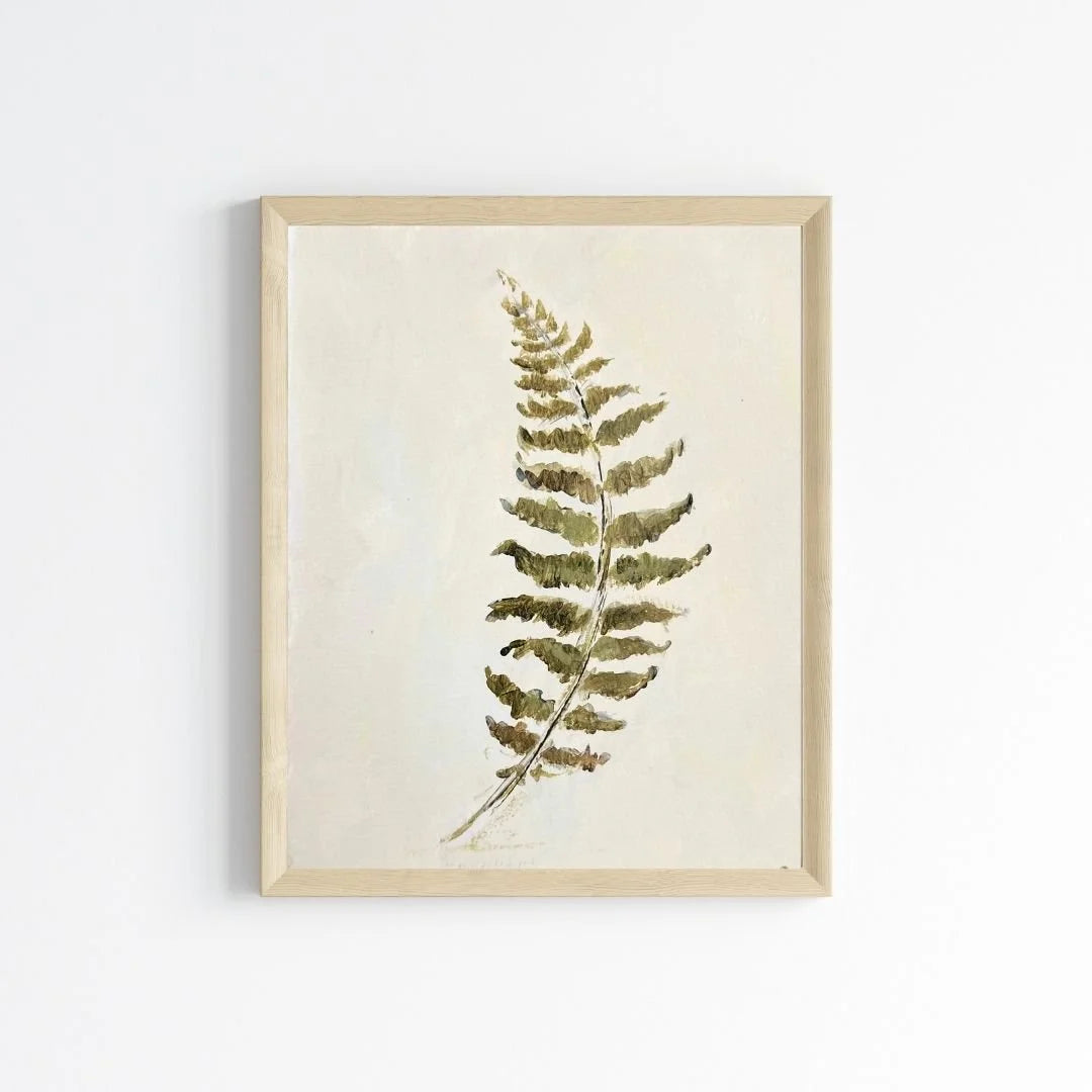 8x10 Frondly 1 Print SR Art