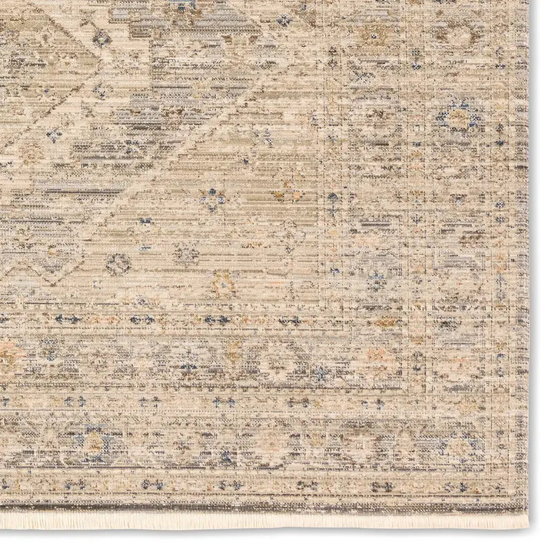 Tejal Rug - TEJ02