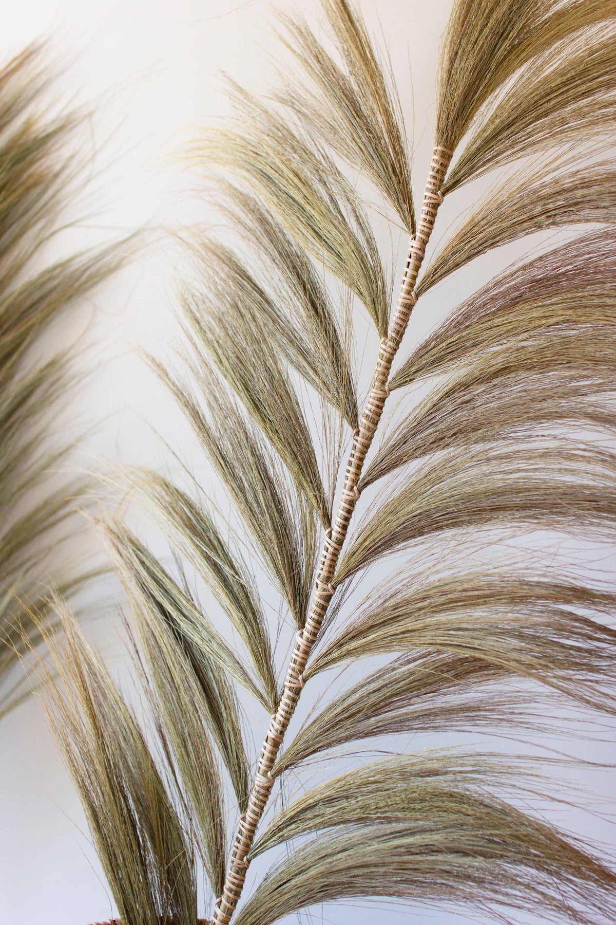 Palm Bamboo Stems 72"