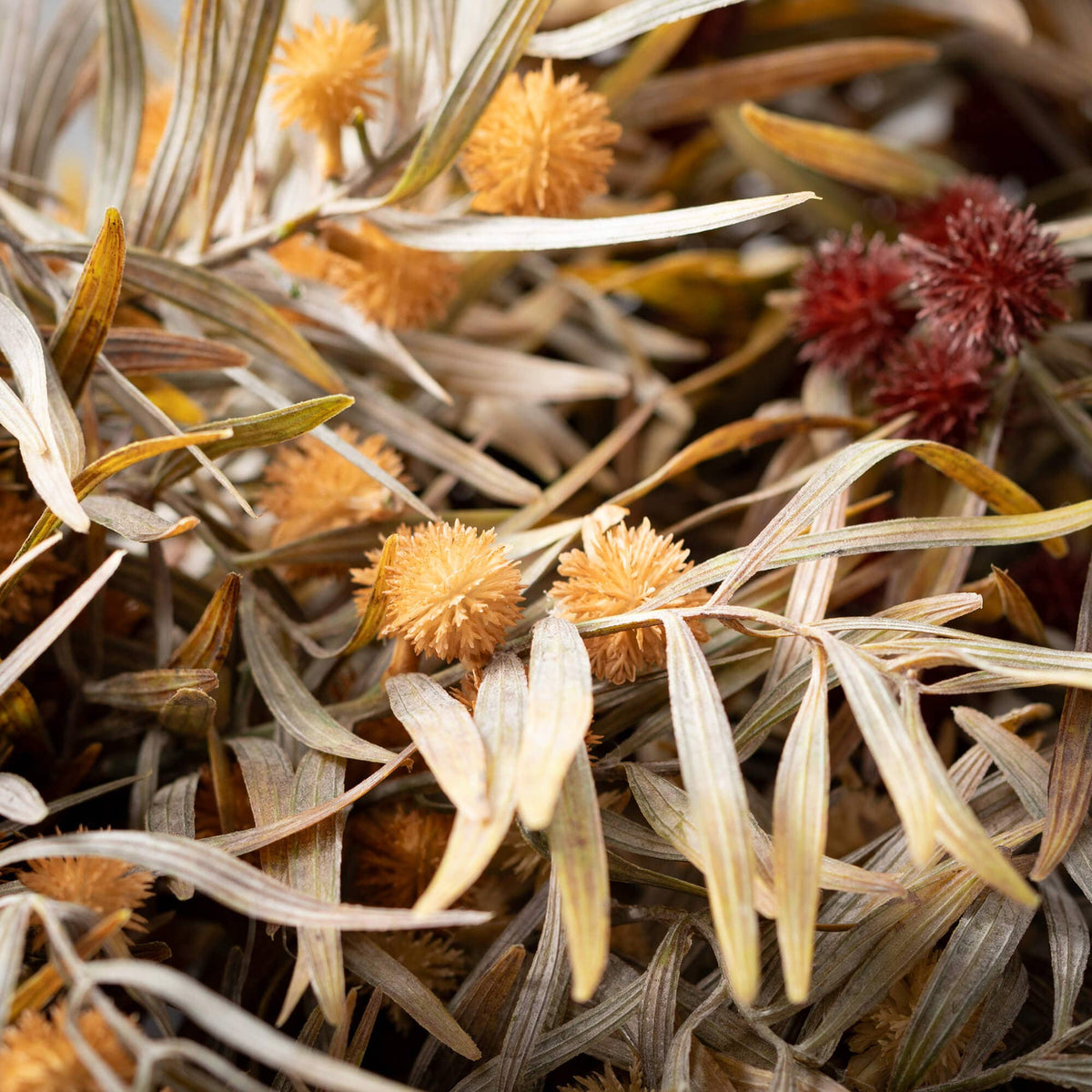 Fall Mixed Grass Bush Yellow/Orange