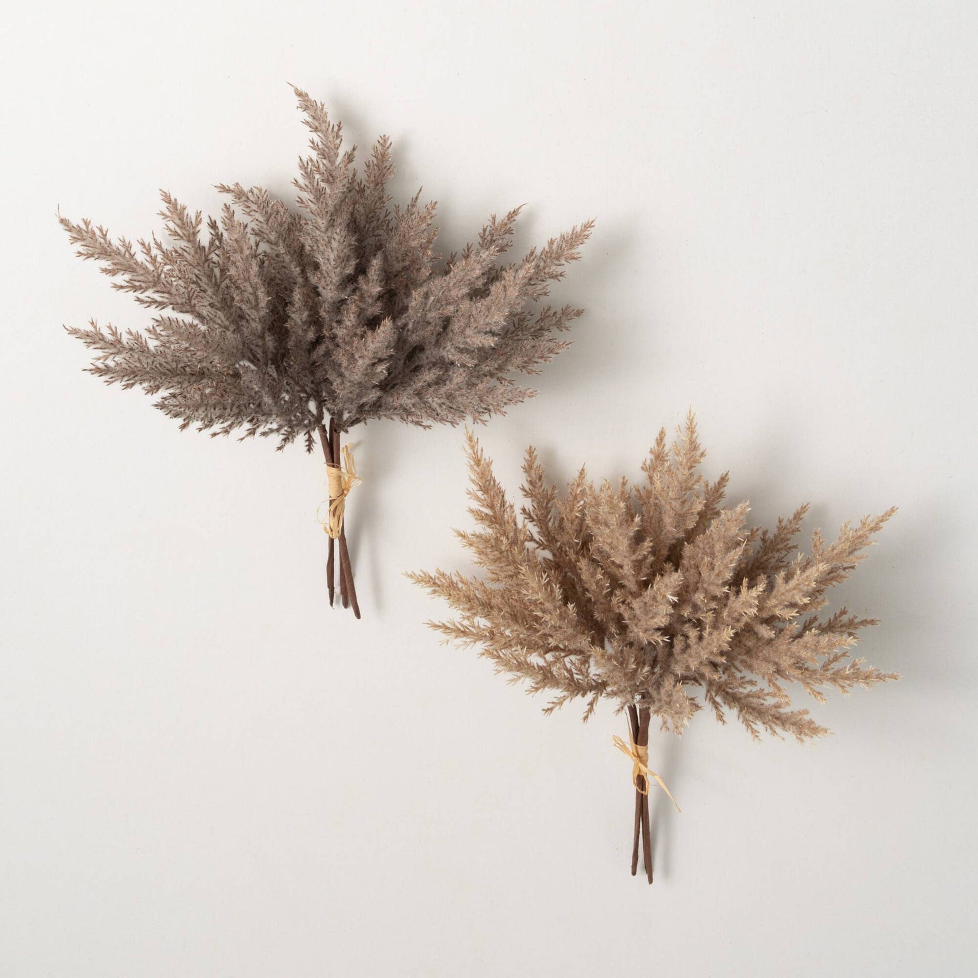 Pampas Grass Bush Bundles Ast. Browns