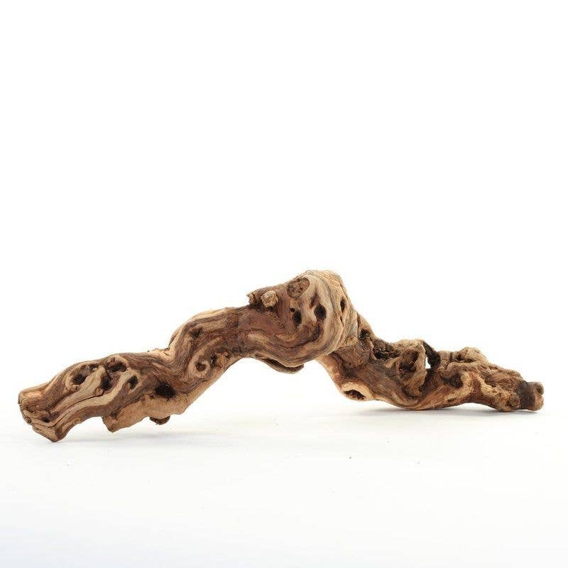 Tumbled Grapewood Pieces (set of 2)
