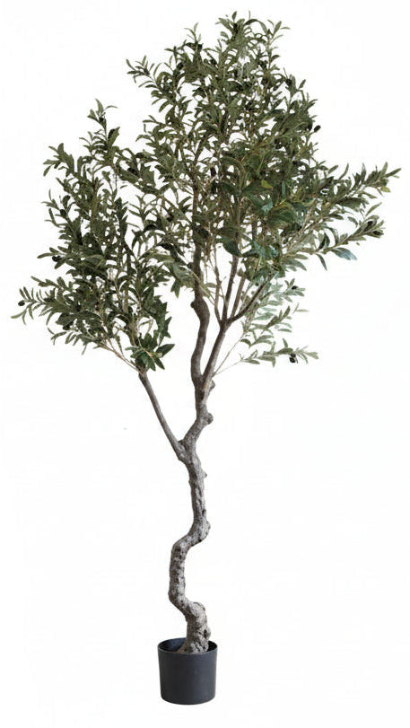 Handmade Olive Tree 8 ft.