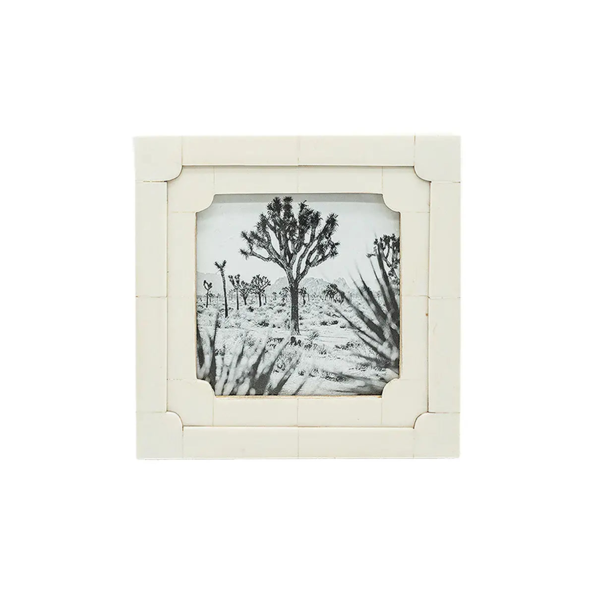 Neoclassical Resin Photo Frame 4x4