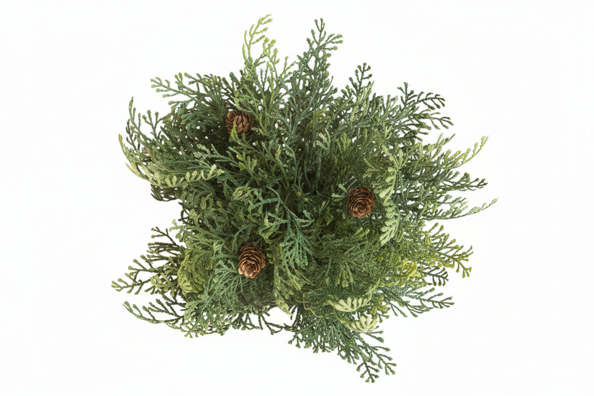 11" SEQUOIA PINE HALF BALL