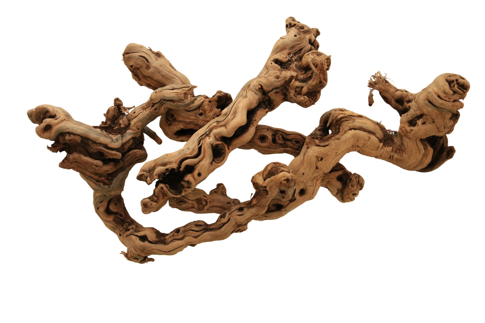Tumbled Grapewood Pieces (set of 2)