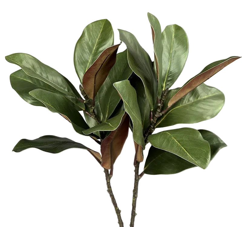 Nature Touch Faux Magnolia Leaf Branch Indoor/Ourdoor