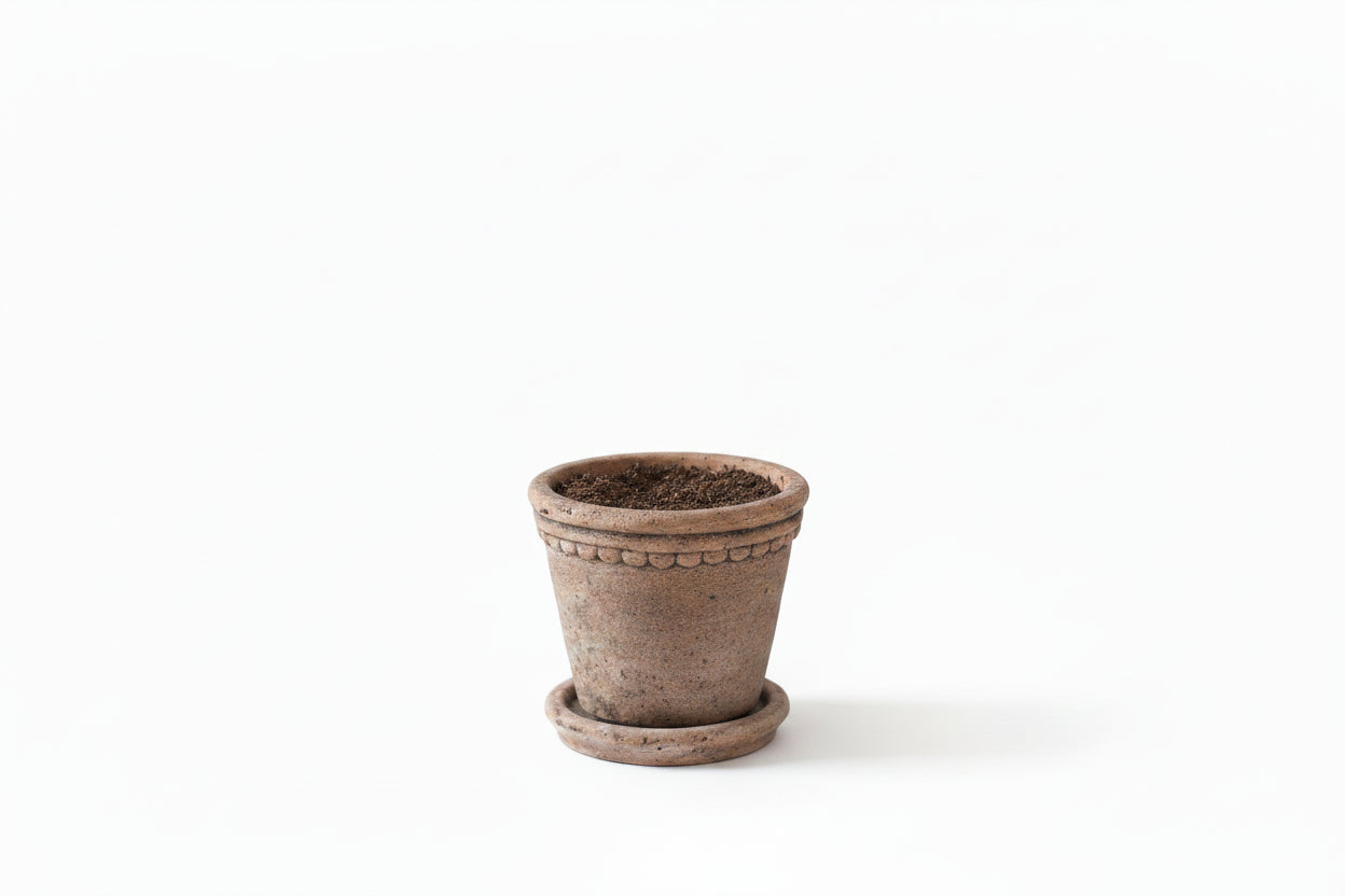 Terracotta Planter & Saucer Scallop Small