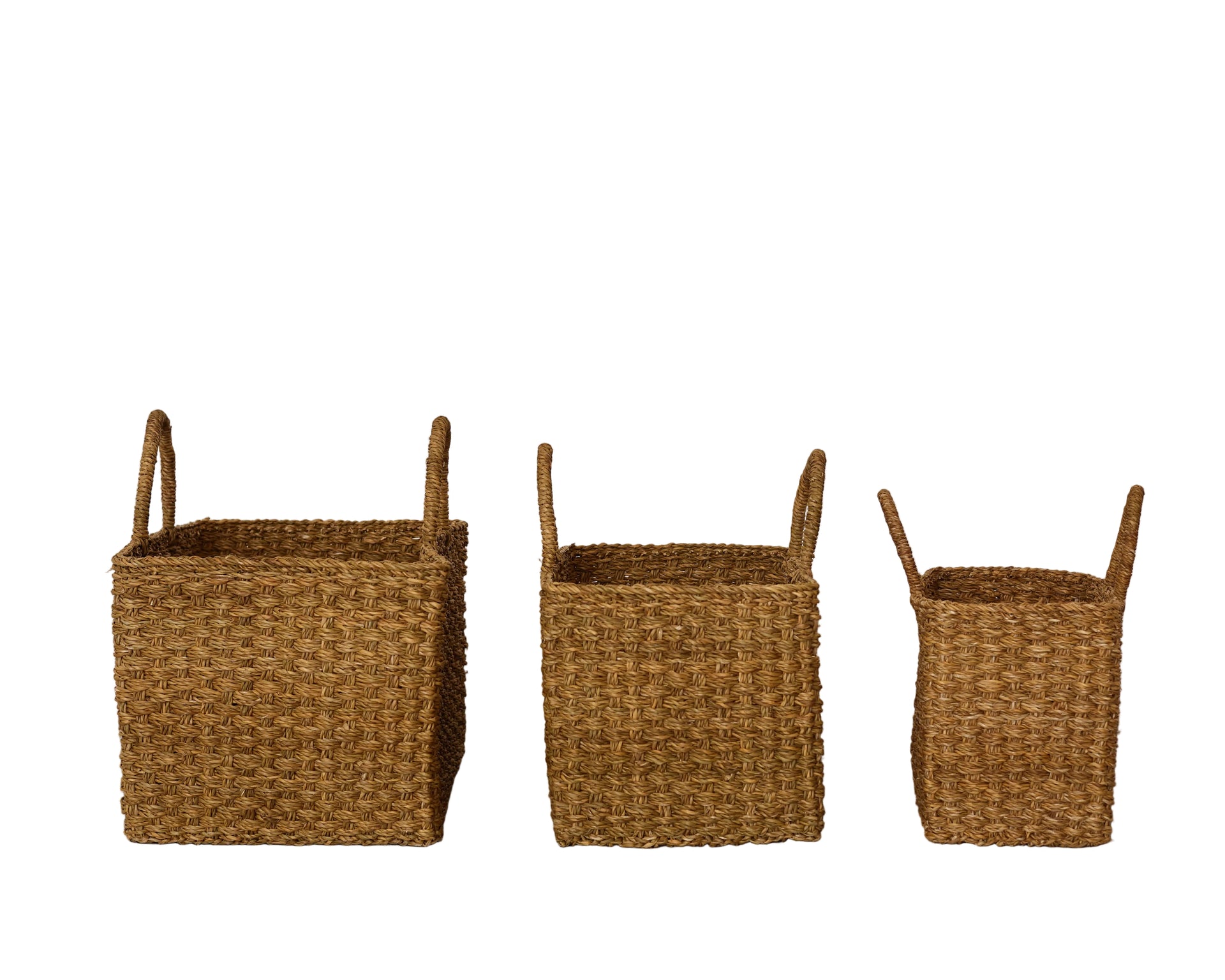 Holga Grass Gathering Basket - Large