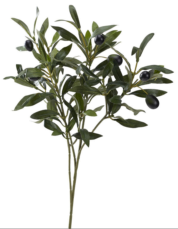 Olive Branch 19"