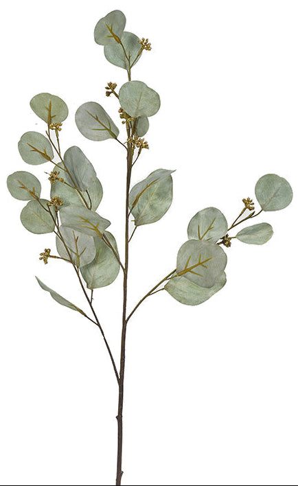 Eucalyptus Stem 32"