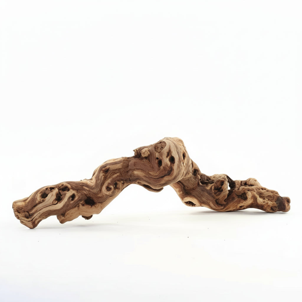 Tumbled Grapewood Log