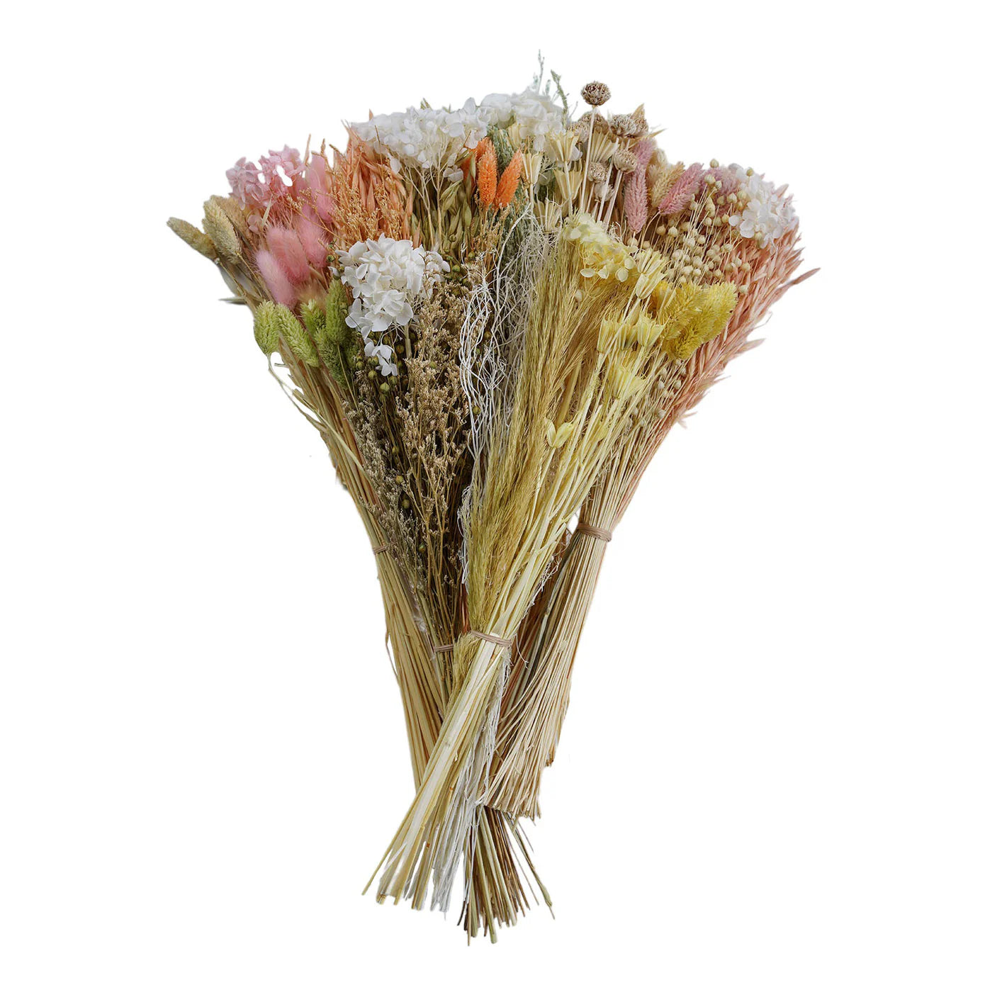 Mixed Dried Grasses Florals 20" Multicolor